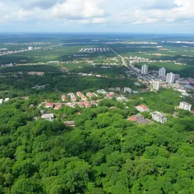 Manaus Londrina Copa do Brasil