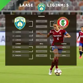 conselho estadual de controle interno
