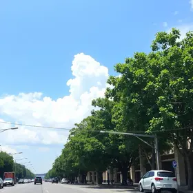 feriado da independência em londrina