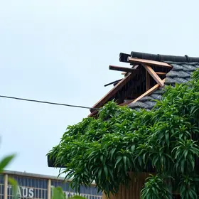 vendaval e chuva